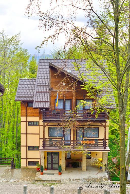 Pension Master Sinaia Dış mekan fotoğraf