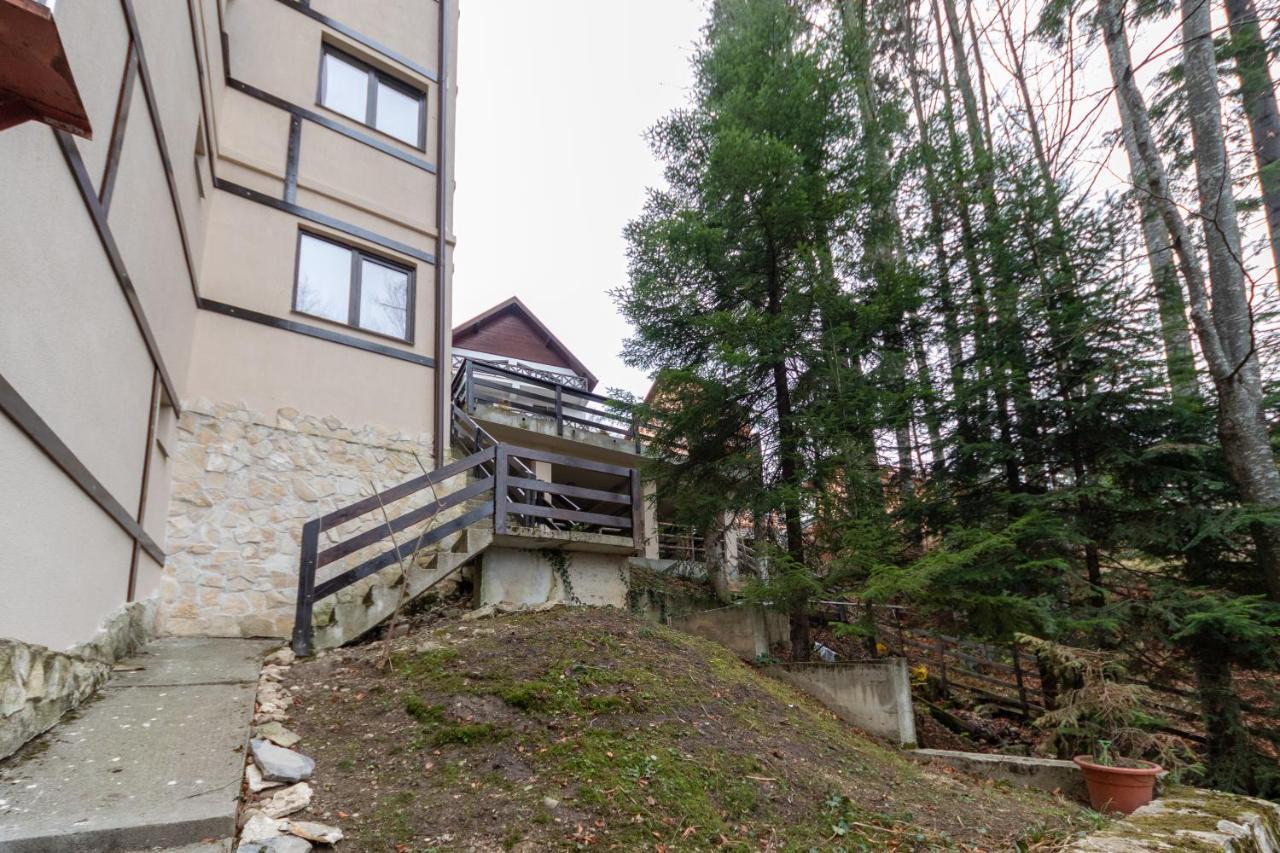 Pension Master Sinaia Dış mekan fotoğraf